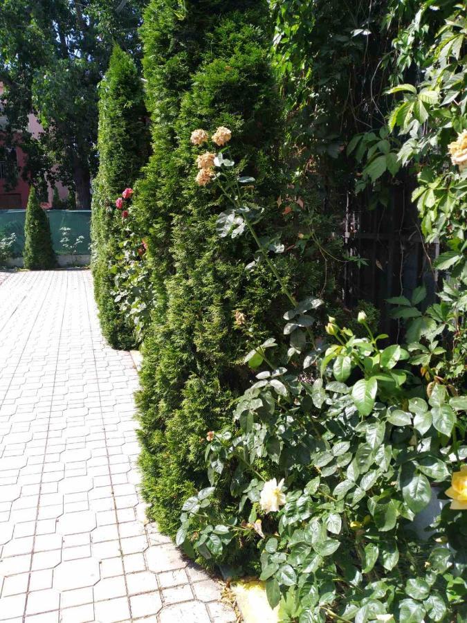 Violet Garden 2 Veranda *